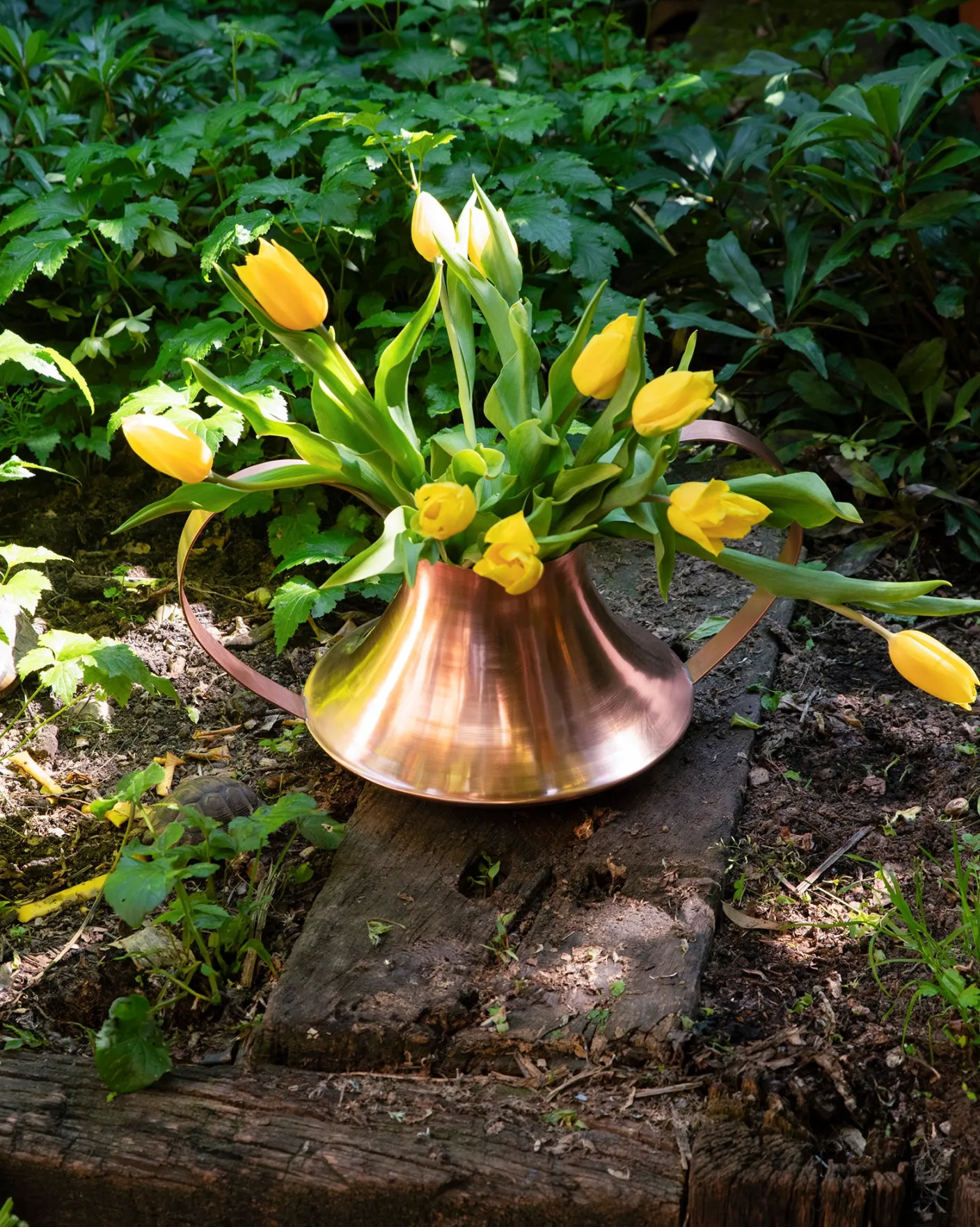 Piccolo Arredo<ALESSI Conca