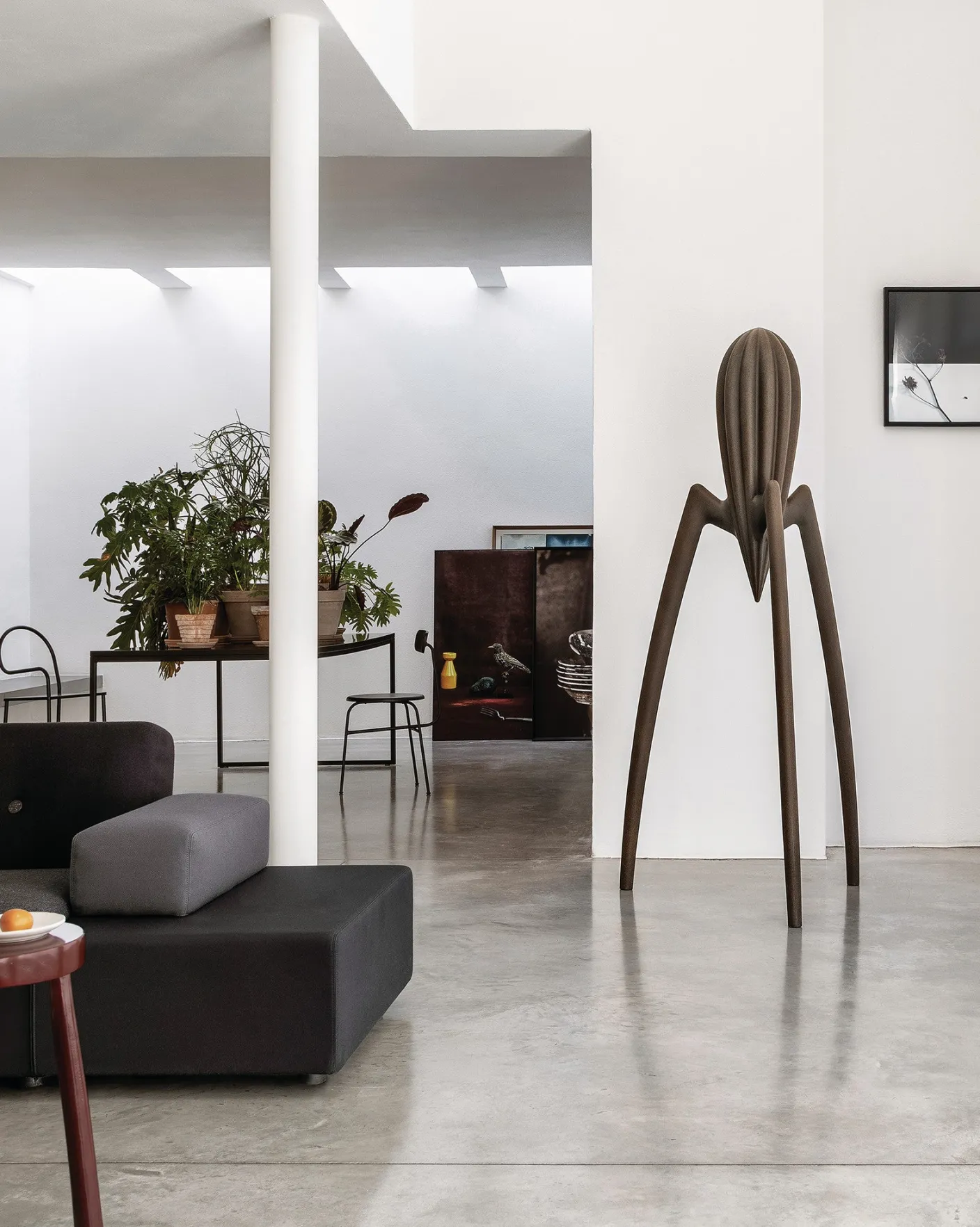 Piccolo Arredo<ALESSI Juicy Salif XXL